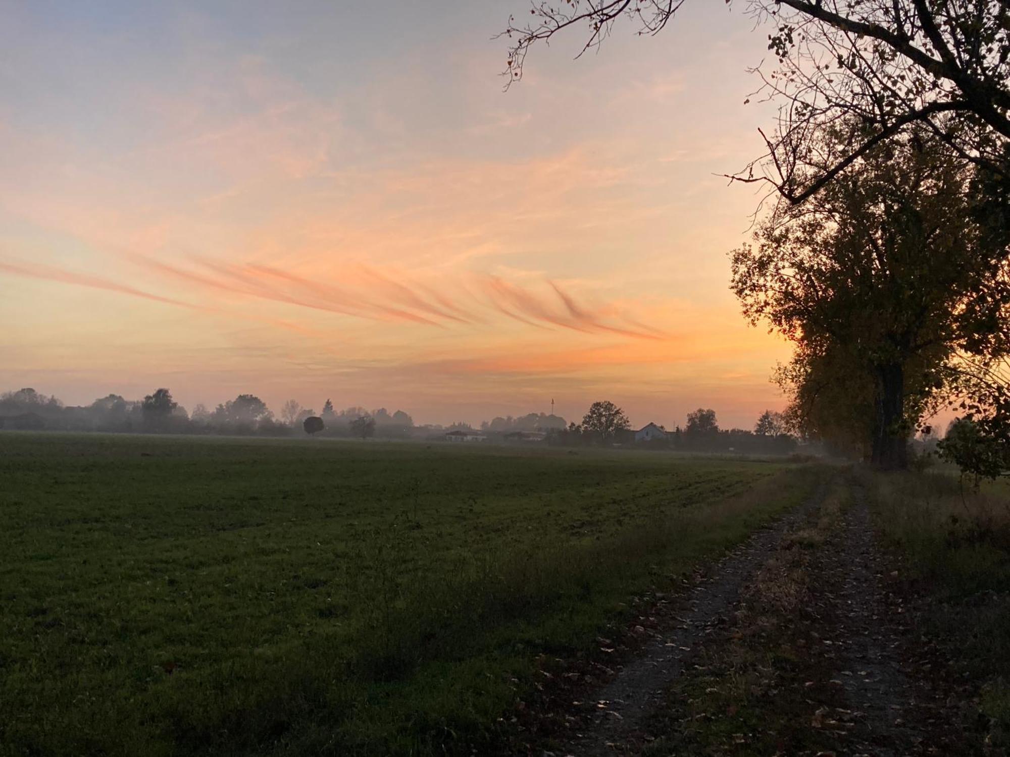 Oderbruch26 * Letschin